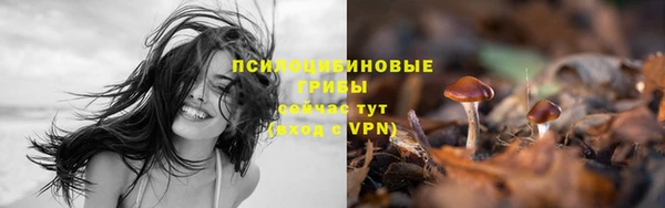 хмурый Киренск