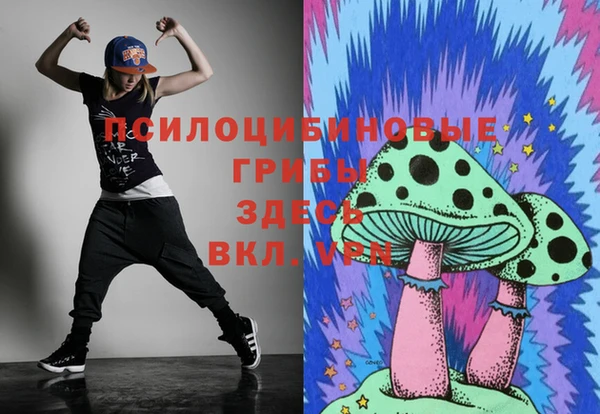 меф Кинешма