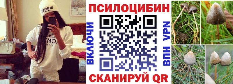 Галлюциногенные грибы GOLDEN TEACHER  Купить  Заполярный 